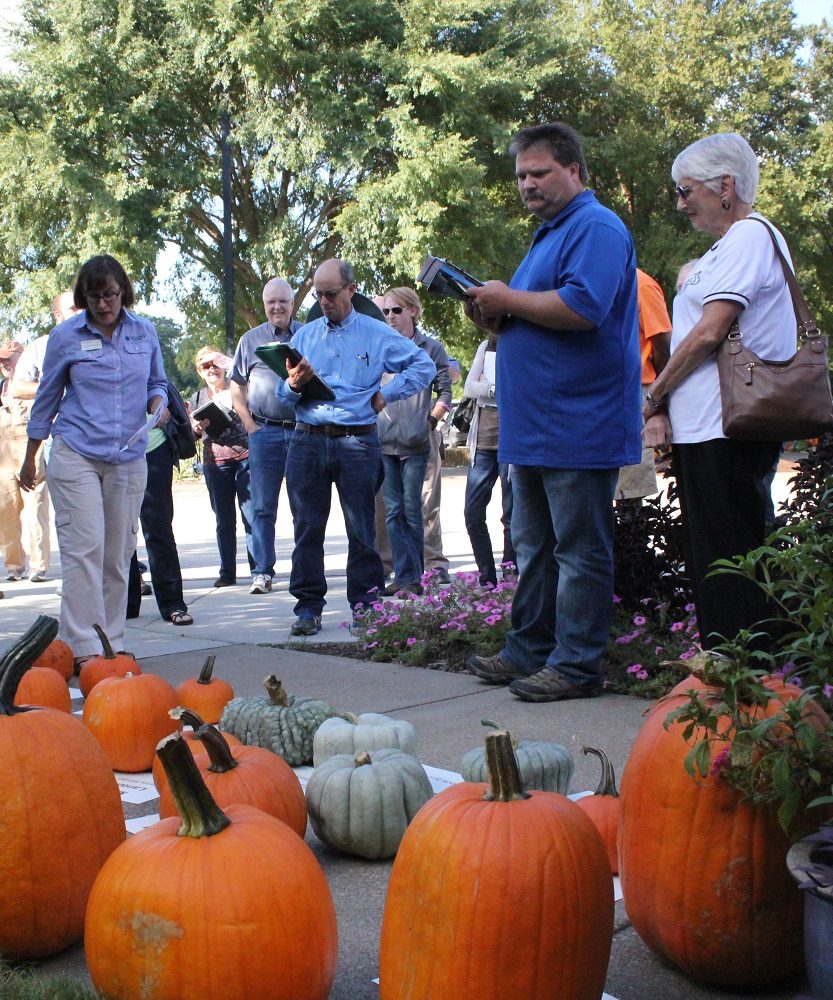 Visitors viewing pumpkins at Pumpkin Field Day Event 