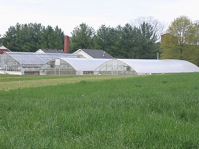 View of greenhouses across a field